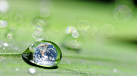 �ɳ�����չ