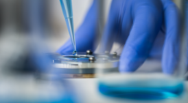 �Ƽ�����