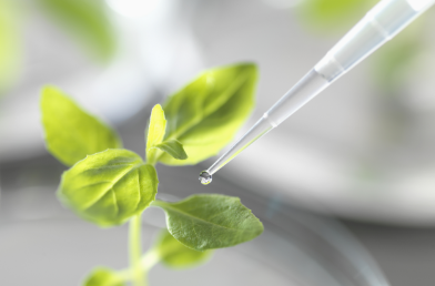 ���ιٷ���վ-����jiuyou���й���